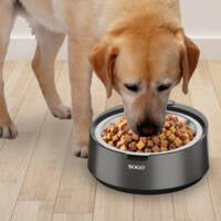 BILANCIA DA CUCINA E/O CIBO PER ANIMALI DOMESTICI